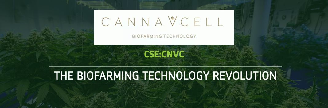 Canna-V-Cell Sciences Inc (CSE:CNVC)